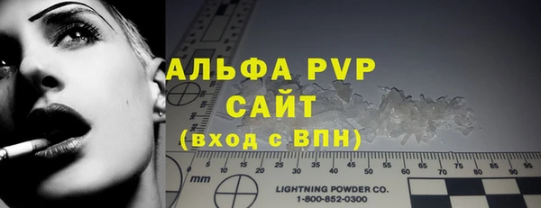 стафф Вяземский