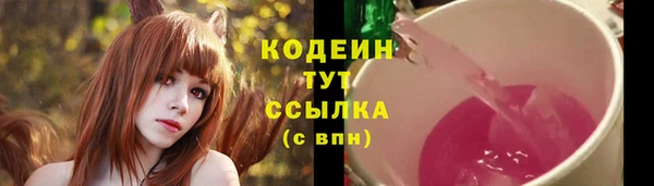 прущий лед Горняк