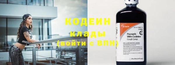 стафф Вяземский