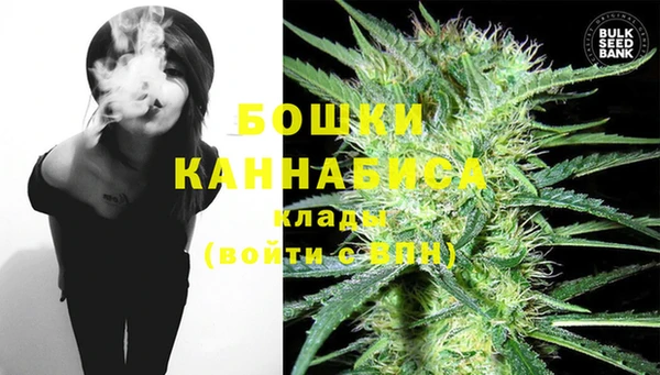 СК Горнозаводск