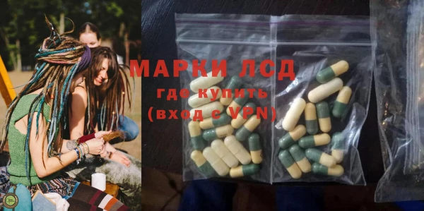 СК Горнозаводск