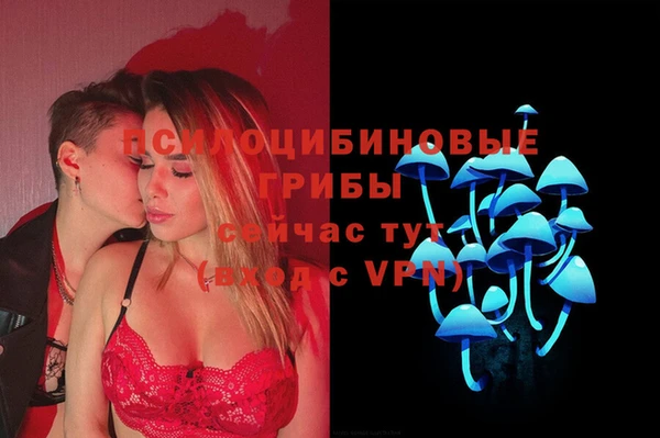 прущий лед Горняк
