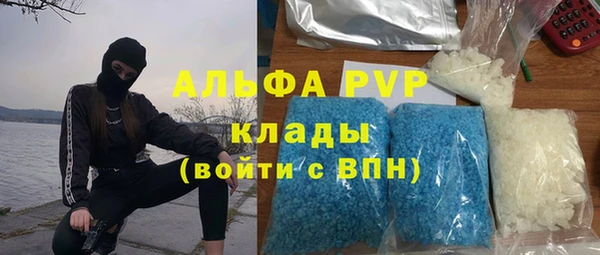 СК Горнозаводск