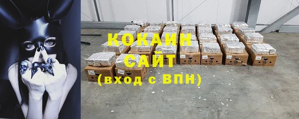 стафф Вяземский